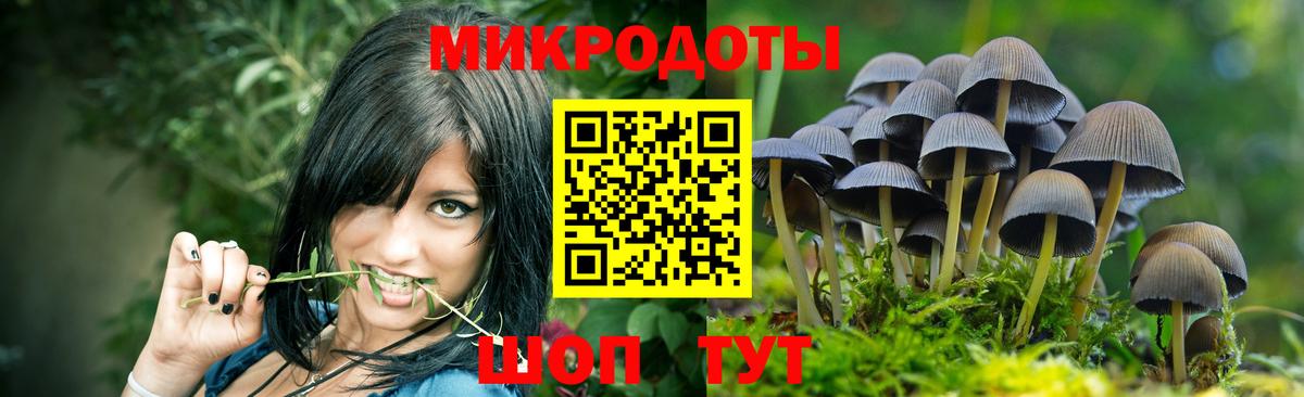 Галлюциногенные грибы MAGIC MUSHROOMS Зима